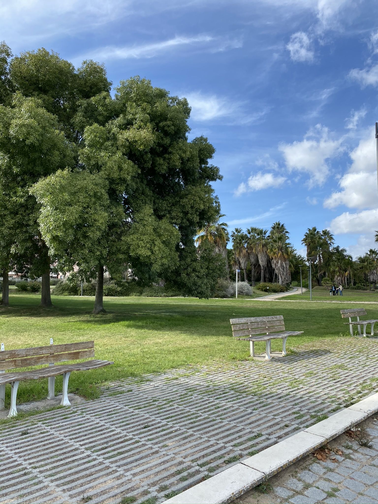 Nature in the Park of Nations